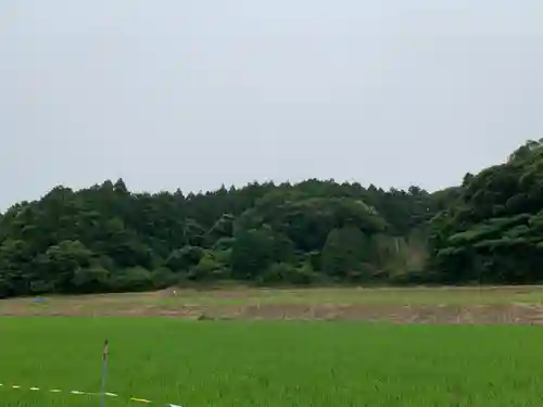 神社(名称不明)の景色