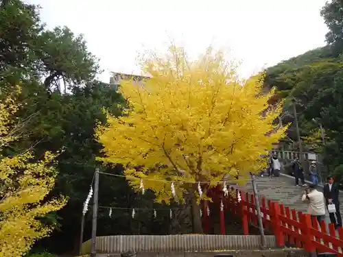 鶴岡八幡宮(神奈川県)