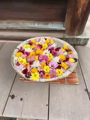 観音寺の{uncategorized: "未分類", other: "その他", undefined: "問題あり", building: "その他建物", grave: "お墓", sacred_gate: "鳥居", guardian: "狛犬", statue: "像", buddha: "仏像", history: "歴史", nature: "自然", garden: "庭園", animal: "動物", pagoda: "塔", temizu: "手水舎", mountain_gate: "山門・神門", sanctuary: "本殿・本堂", subordinate: "末社・摂社", art: "芸術", scenery: "景色", jizo: "地蔵", ema: "絵馬", goshuin: "御朱印", omikuji: "おみくじ", items: "授与品その他", amulet: "お守り", goshuincho: "御朱印帳", eats: "食事", festival: "お祭り", votive_dance: "神楽", shichigosan: "七五三参", wedding: "結婚式", experience: "体験その他", initially: "初詣", around: "周辺", anti_infection: "感染症対策"}