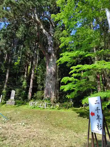 大圓寺(秋田県)
