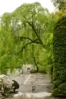 玉泉寺(埼玉県)