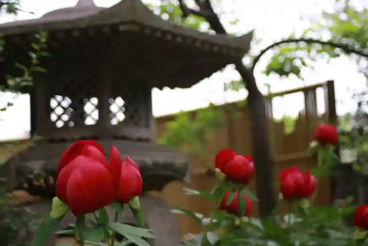 石光寺(奈良県)