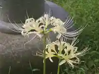 久安寺(大阪府)