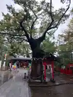 新田神社の自然