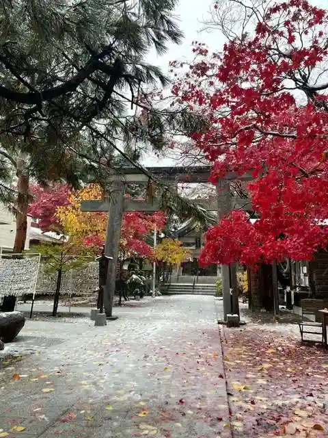 彌彦神社 (伊夜日子神社)の鳥居