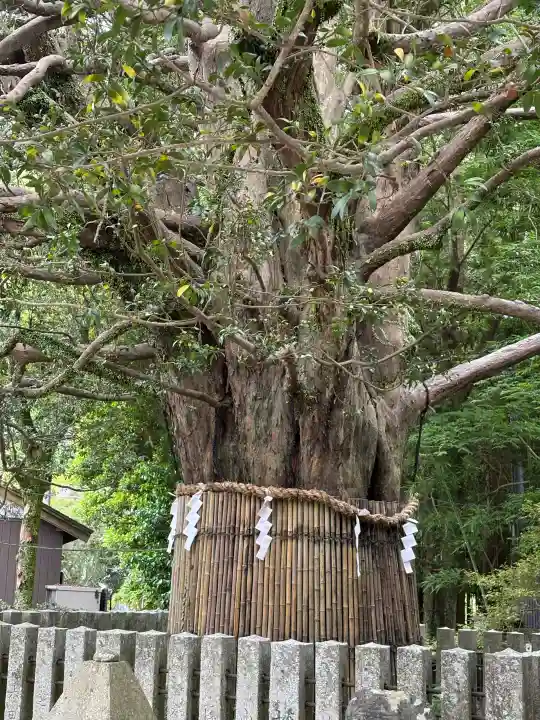 熊野速玉大社の{uncategorized: "未分類", other: "その他", undefined: "問題あり", building: "その他建物", grave: "お墓", sacred_gate: "鳥居", guardian: "狛犬", statue: "像", buddha: "仏像", history: "歴史", nature: "自然", garden: "庭園", animal: "動物", pagoda: "塔", temizu: "手水舎", mountain_gate: "山門・神門", sanctuary: "本殿・本堂", subordinate: "末社・摂社", art: "芸術", scenery: "景色", jizo: "地蔵", ema: "絵馬", goshuin: "御朱印", omikuji: "おみくじ", items: "授与品その他", amulet: "お守り", goshuincho: "御朱印帳", eats: "食事", festival: "お祭り", votive_dance: "神楽", shichigosan: "七五三参", wedding: "結婚式", experience: "体験その他", initially: "初詣", around: "周辺", anti_infection: "感染症対策"}
