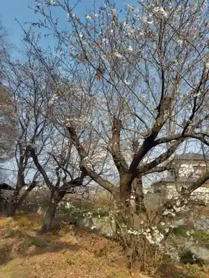  八幡神社(埼玉県)