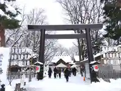 旭川神社の初詣