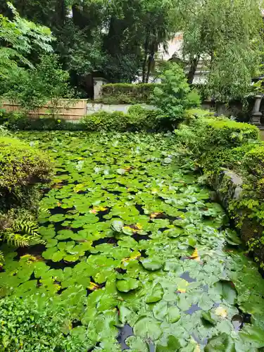 雲樹寺(島根県)