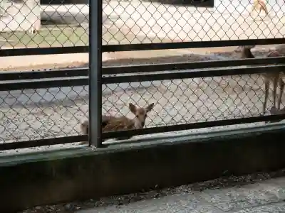 鹿島神宮(茨城県)