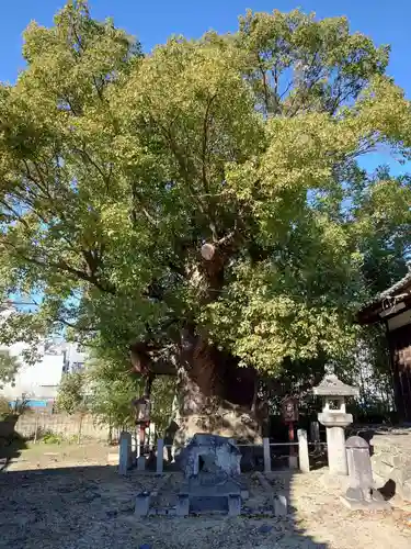新田白山神社(愛知県)