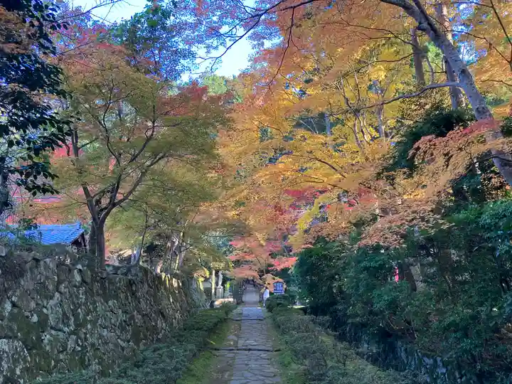 金剛輪寺(滋賀県)