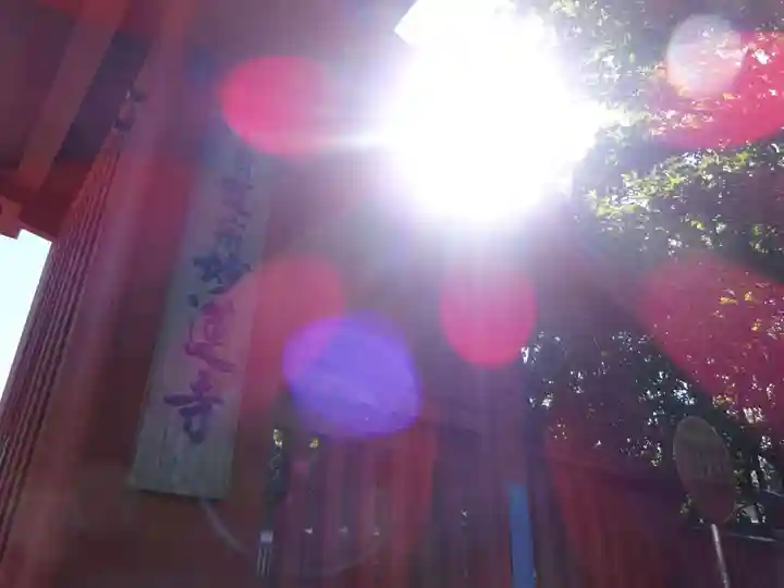 妙蓮寺の山門・神門