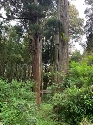 十二所神社(千葉県)
