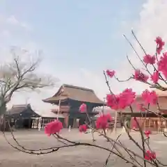 尾張大國霊神社（国府宮）の自然