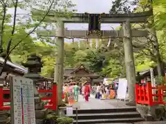 出雲大神宮の鳥居