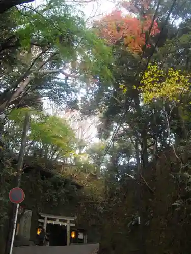 銭洗弁財天宇賀福神社の周辺