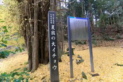 乙宿禰神社の自然