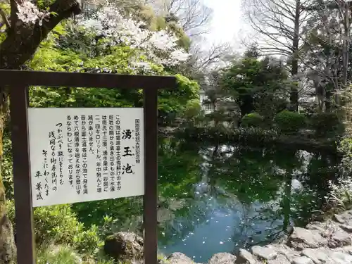 富士山本宮浅間大社の庭園