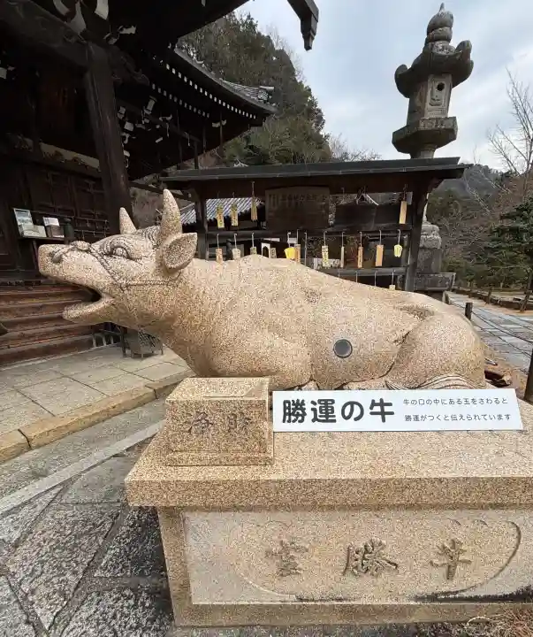 三室戸寺の{uncategorized: "未分類", other: "その他", undefined: "問題あり", building: "その他建物", grave: "お墓", sacred_gate: "鳥居", guardian: "狛犬", statue: "像", buddha: "仏像", history: "歴史", nature: "自然", garden: "庭園", animal: "動物", pagoda: "塔", temizu: "手水舎", mountain_gate: "山門・神門", sanctuary: "本殿・本堂", subordinate: "末社・摂社", art: "芸術", scenery: "景色", jizo: "地蔵", ema: "絵馬", goshuin: "御朱印", omikuji: "おみくじ", items: "授与品その他", amulet: "お守り", goshuincho: "御朱印帳", eats: "食事", festival: "お祭り", votive_dance: "神楽", shichigosan: "七五三参", wedding: "結婚式", experience: "体験その他", initially: "初詣", around: "周辺", anti_infection: "感染症対策"}