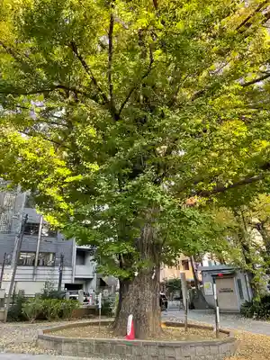 鳩森八幡神社(東京都)