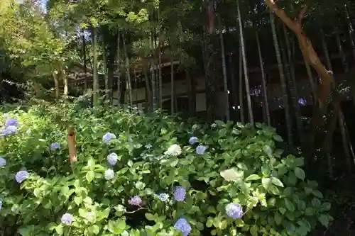 円覚寺(神奈川県)