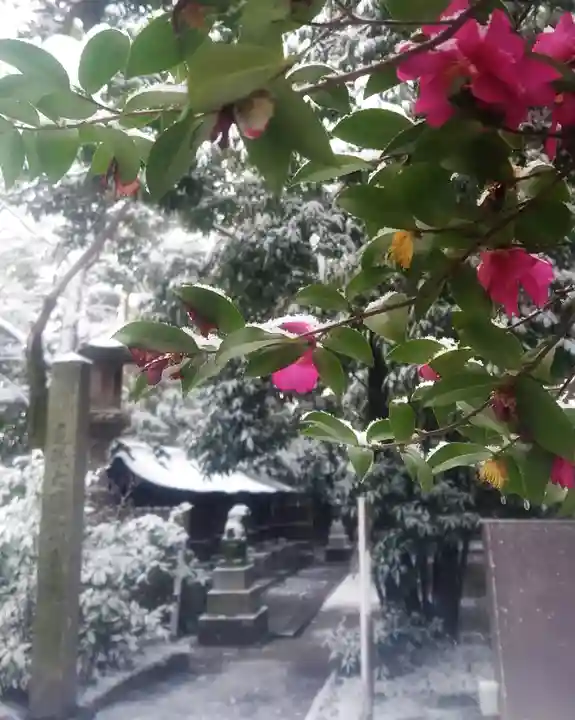 尾張大國霊神社(国府宮)の自然