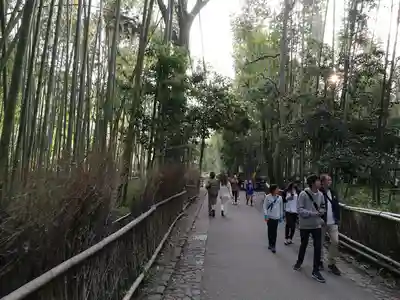 野宮神社(京都府)