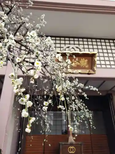 聖輪寺の本殿・本堂