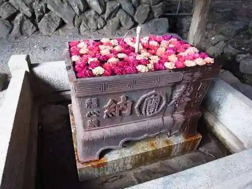 宝登山神社の手水