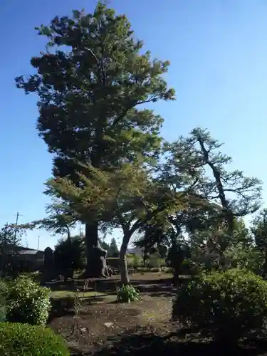 慈光寺(弓田ポックリ不動尊)の自然