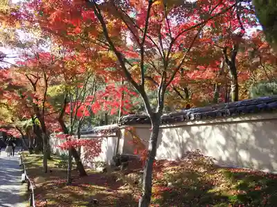 宝厳院(京都府)