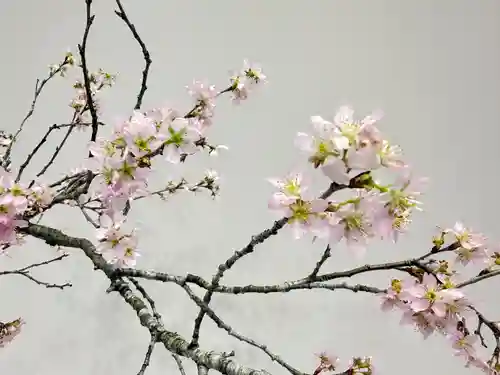 西方山極楽寺(岐阜県)