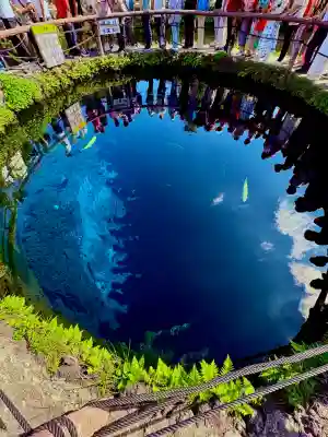 淺間神社（忍野八海）(山梨県)