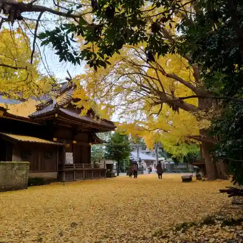玉敷神社(埼玉県)