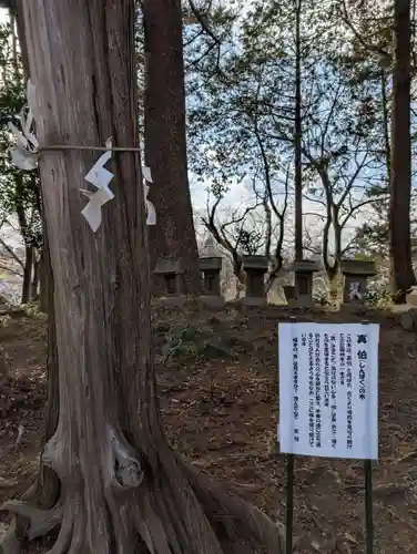 阿久津「田村神社」（郡山市阿久津町）旧社名：伊豆箱根三嶋三社(福島県)