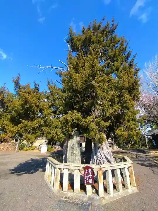 道成寺の{uncategorized: "未分類", other: "その他", undefined: "問題あり", building: "その他建物", grave: "お墓", sacred_gate: "鳥居", guardian: "狛犬", statue: "像", buddha: "仏像", history: "歴史", nature: "自然", garden: "庭園", animal: "動物", pagoda: "塔", temizu: "手水舎", mountain_gate: "山門・神門", sanctuary: "本殿・本堂", subordinate: "末社・摂社", art: "芸術", scenery: "景色", jizo: "地蔵", ema: "絵馬", goshuin: "御朱印", omikuji: "おみくじ", items: "授与品その他", amulet: "お守り", goshuincho: "御朱印帳", eats: "食事", festival: "お祭り", votive_dance: "神楽", shichigosan: "七五三参", wedding: "結婚式", experience: "体験その他", initially: "初詣", around: "周辺", anti_infection: "感染症対策"}