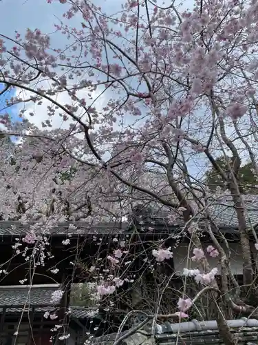 十輪寺(京都府)
