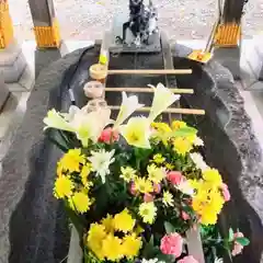 彌彦神社　(伊夜日子神社)(北海道)