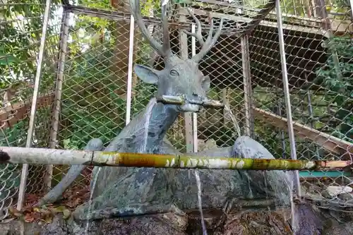 枚岡神社の手水