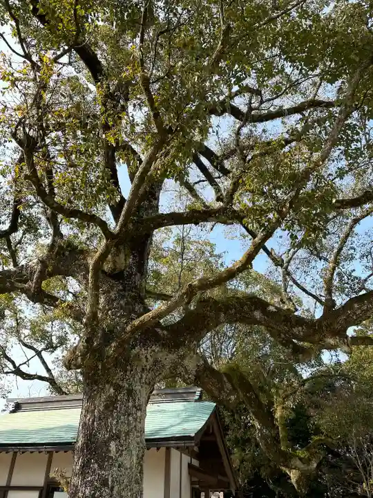 玉祖神社の自然