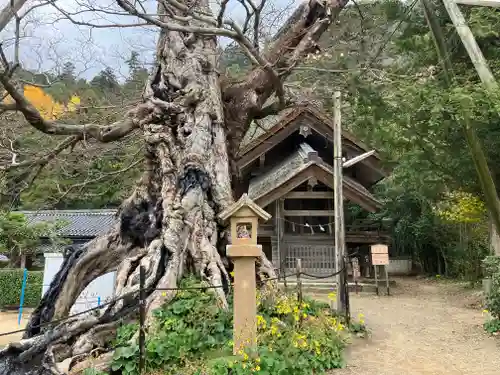 出雲大社の自然
