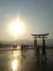 厳島神社の鳥居