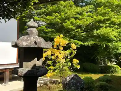 源光庵(京都府)