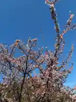 眞珠院の{uncategorized: "未分類", other: "その他", undefined: "問題あり", building: "その他建物", grave: "お墓", sacred_gate: "鳥居", guardian: "狛犬", statue: "像", buddha: "仏像", history: "歴史", nature: "自然", garden: "庭園", animal: "動物", pagoda: "塔", temizu: "手水舎", mountain_gate: "山門・神門", sanctuary: "本殿・本堂", subordinate: "末社・摂社", art: "芸術", scenery: "景色", jizo: "地蔵", ema: "絵馬", goshuin: "御朱印", omikuji: "おみくじ", items: "授与品その他", amulet: "お守り", goshuincho: "御朱印帳", eats: "食事", festival: "お祭り", votive_dance: "神楽", shichigosan: "七五三参", wedding: "結婚式", experience: "体験その他", initially: "初詣", around: "周辺", anti_infection: "感染症対策"}