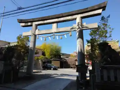 東神奈川熊野神社(神奈川県)