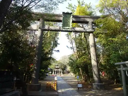 篠崎浅間神社の鳥居