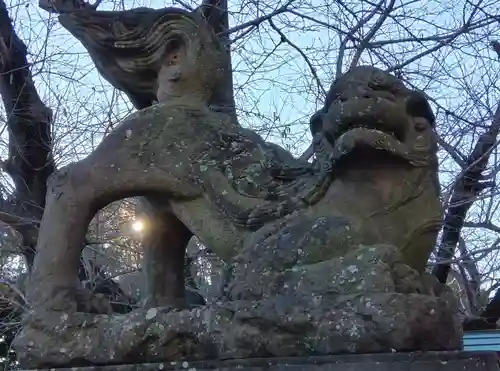 鷲宮神社の狛犬