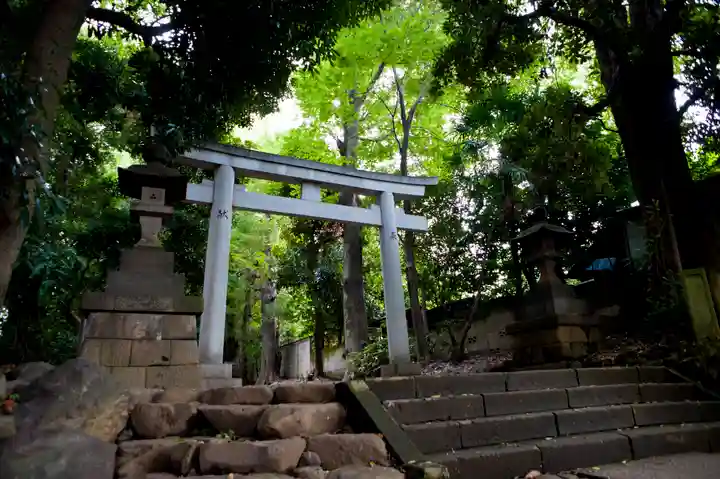 代々木八幡宮の鳥居