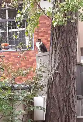 小野照崎神社(東京都)